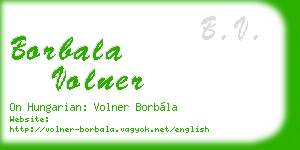 borbala volner business card