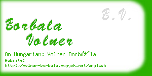 borbala volner business card